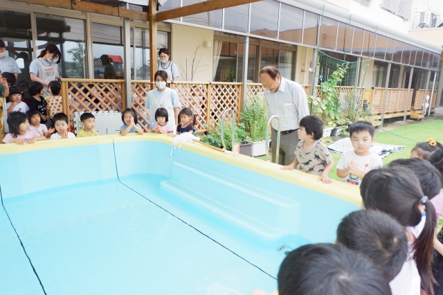 プール すえさみこども園 石川県小松市