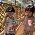 【２歳児】英語教室と最近の子どもたちの様子！